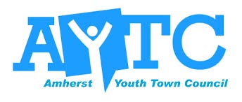 2018 19 Youth Town Council Application