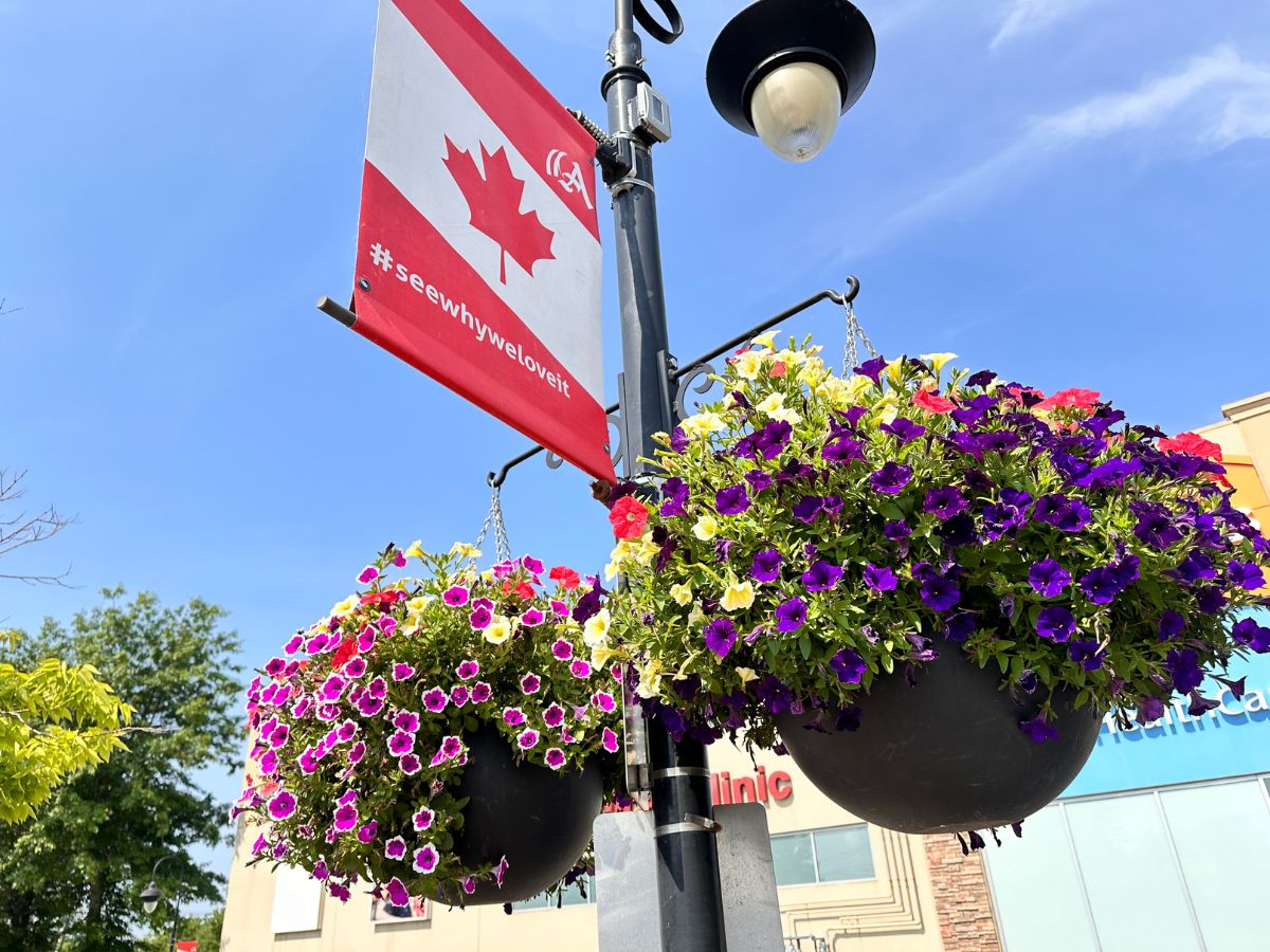 Hanging Baskets 1