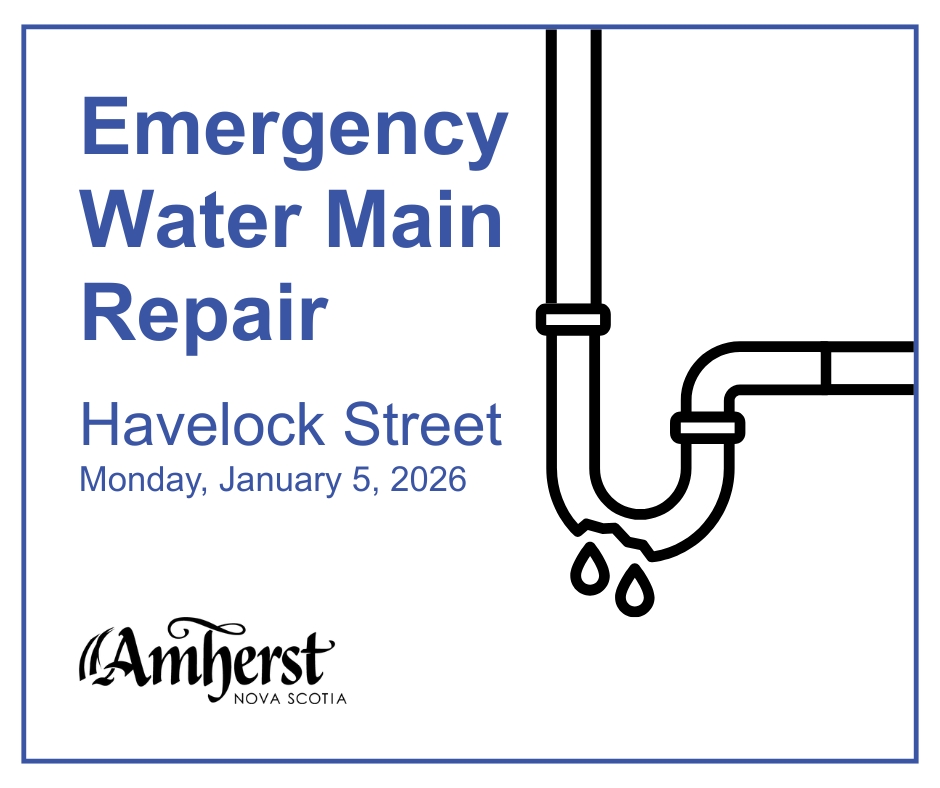 Havelock Street Closure 20260105