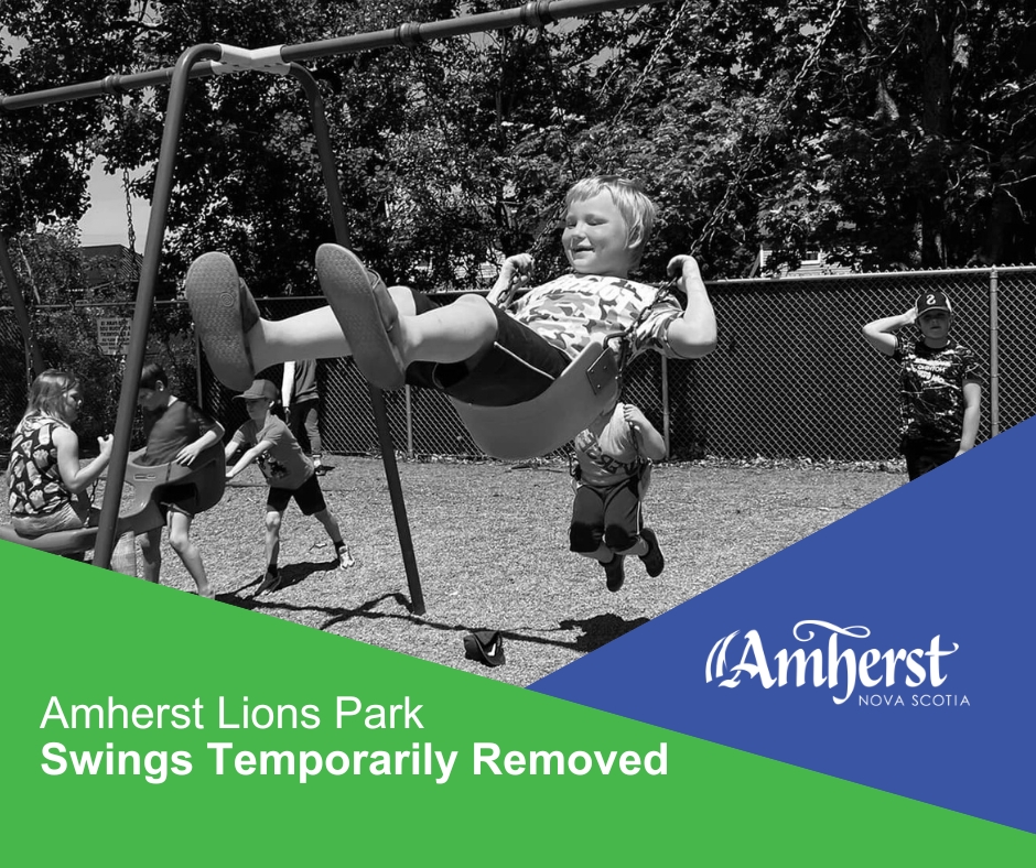 Lions Park Swings Out of Order 20250528