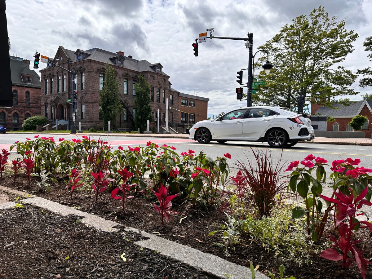 Planted Flowers 2