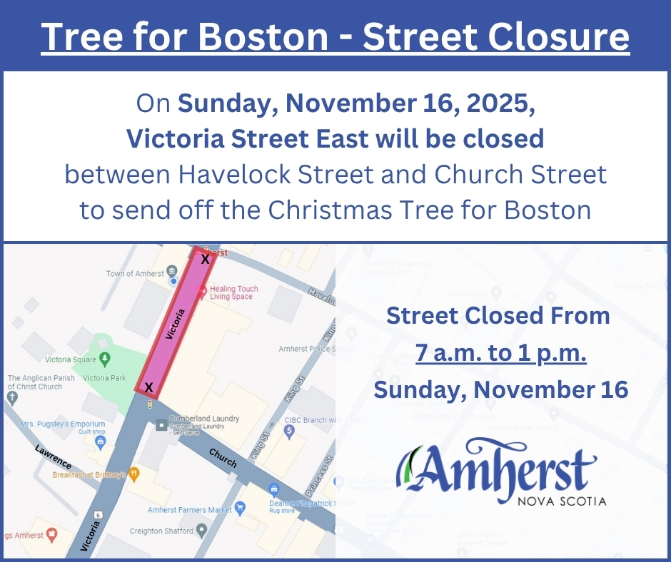 Tree for Boston Street Closure 20251114