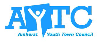 Youth Town Council