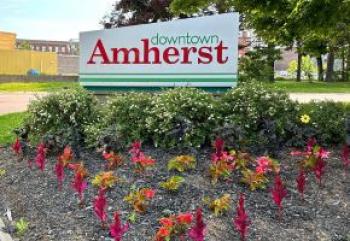 Preparations for spring and summer are well underway in Amherst