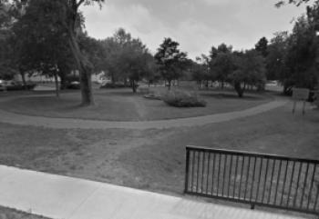Tree maintenance at Beacon Street Park - June 23-24, 2025